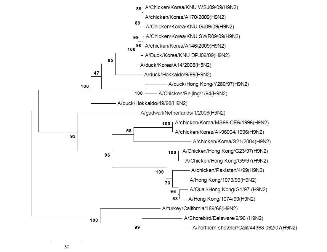 Phylogenetic tree for the PB2 genes of influenza A viruses