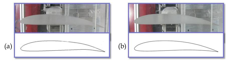 (a) Flap 10deg로 변형된 Morphing Wing Type(1) (23% camber변형) (b) Flap 10deg로 변형된 Morphing Wing Type(2) (50% camber변형)