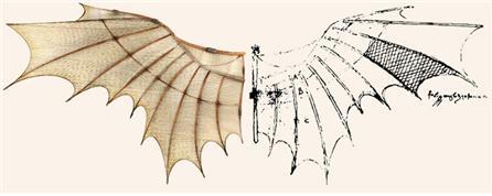 레오나르도 다빈치 오니쏩터 날개