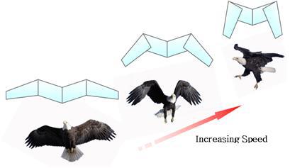 Shape morphing vs. increasing velocity