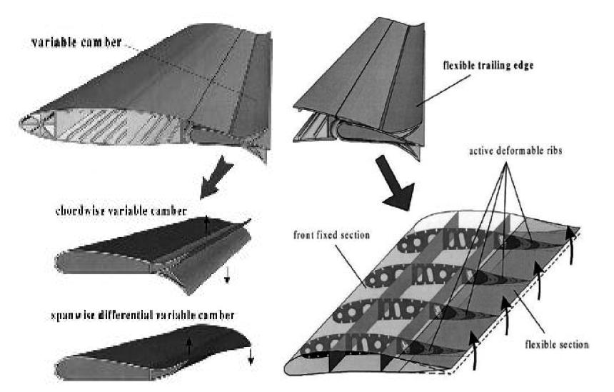 Form variable flap structures