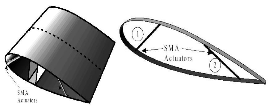 Shape adaptive wing with SMA wires