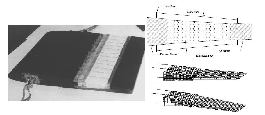 Active hydrofoil with SMA actuators