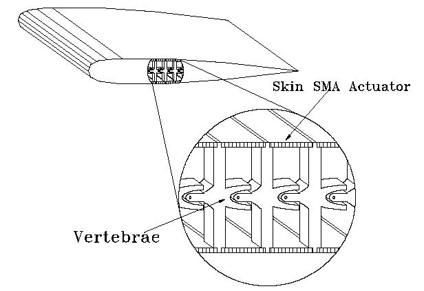 Hydrofoil with SMA actuator