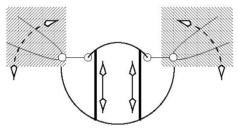 Schematic diagram of insect wing movement