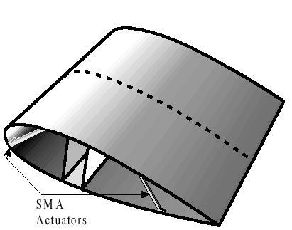 DDLE Adaptive Wing