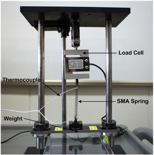 Experimental set-up for SMA spring actuators