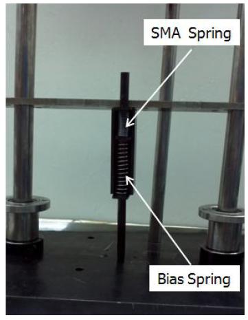 SMA linear actuator