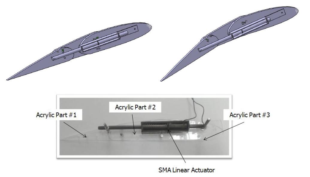 Morphing flap wing