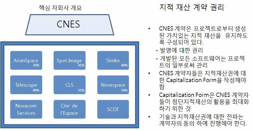 CNES 지적재산권과상업화방안