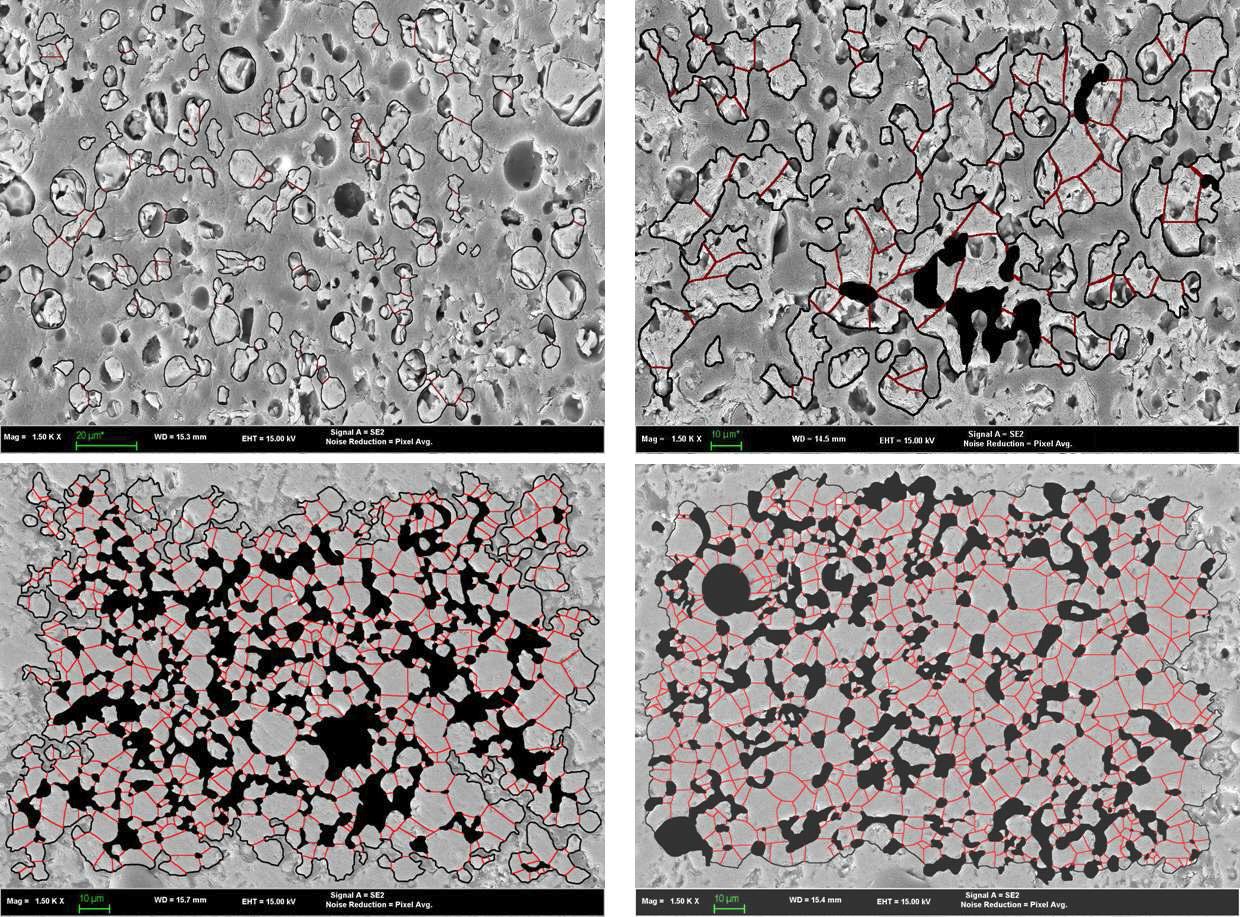 소결 후 epoxy 함침 시료의 단면 SEM image