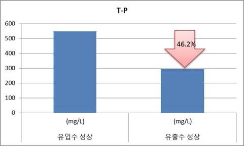 전처리 후 T-P 변화