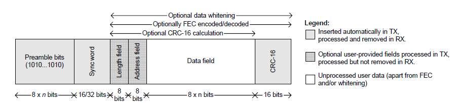 Packet Format