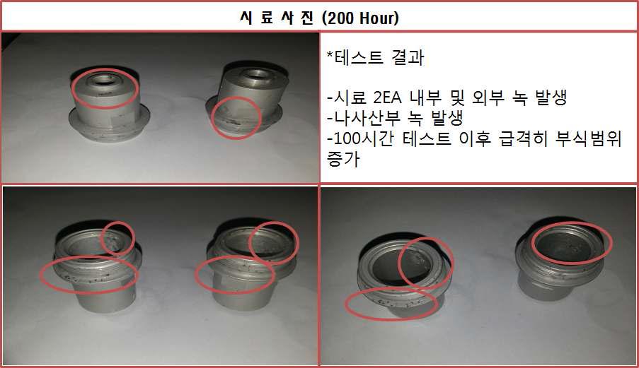 200시간 경과