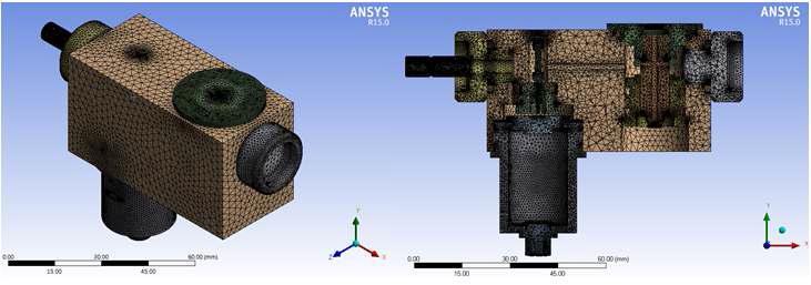 Mesh Modelling