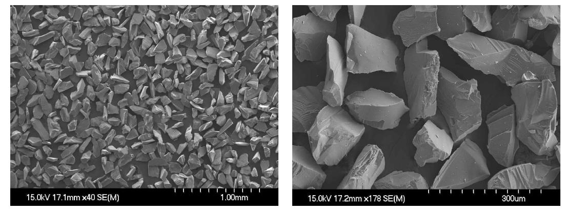 SiC 분말의 SEM 결과