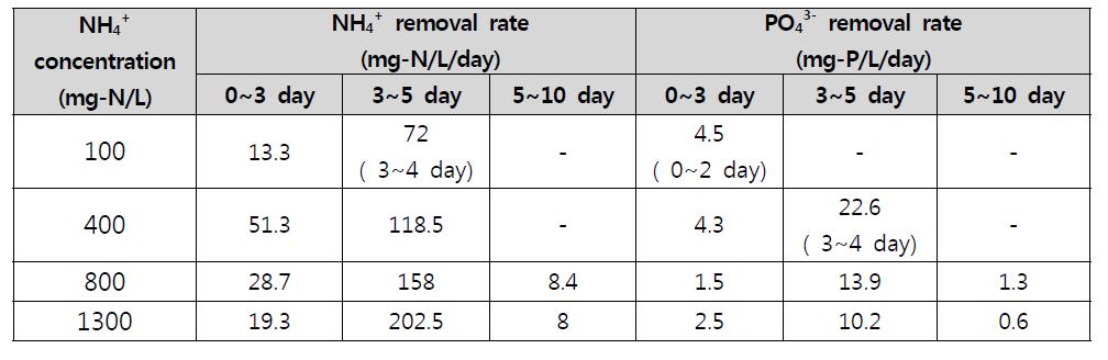 초기 NH4 + 농도에 따른 NH4-N, PO4-P 제거속도