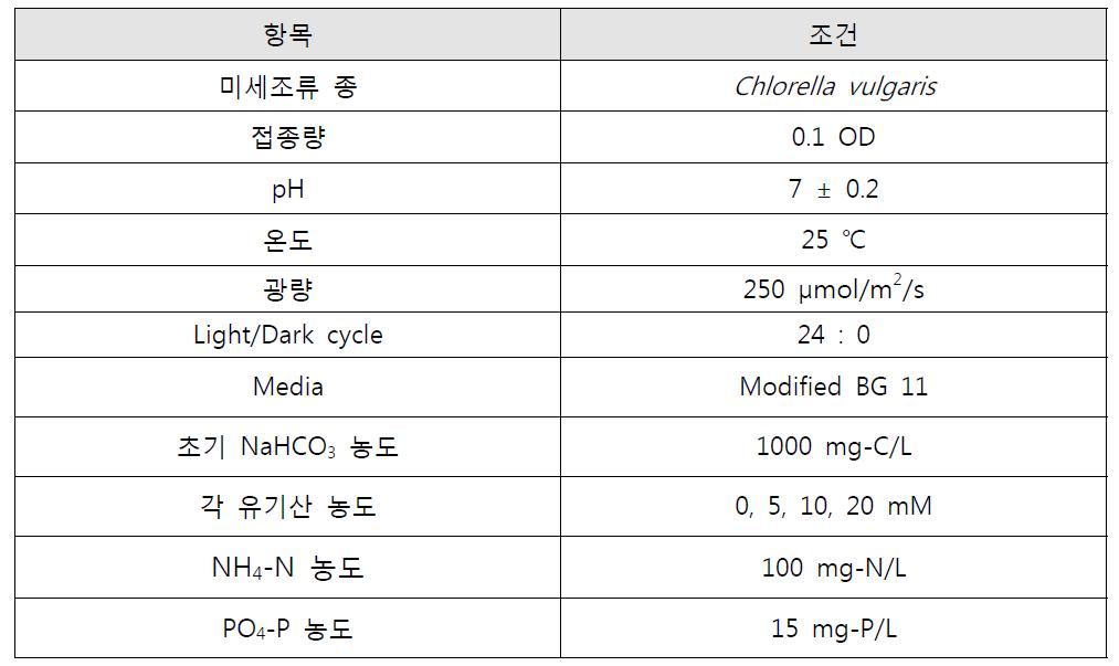 유기산이 미세조류의 성장에 미치는 영향을 파악하기 위한 운전조건