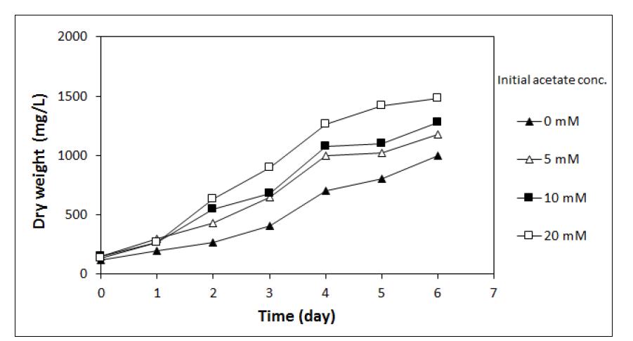 Acetate 농도에 따른 Chlorella vulgaris의 성장