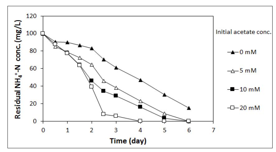 Acetate 농도에 따른 NH4-N의 농도 변화