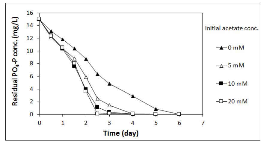 Acetate 농도에 따른 PO4-P의 농도 변화