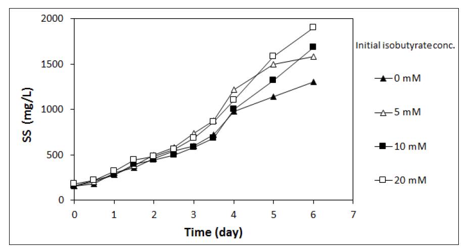 Isobutyate 농도에 따른 Chlorella vulgaris의 성장