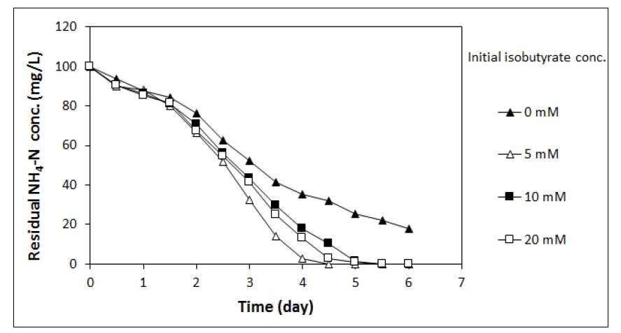 Isobutyate 농도에 따른 NH4-N의 농도 변화