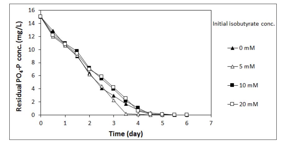 Isobutyate 농도에 따른 PO4-P의 농도 변화