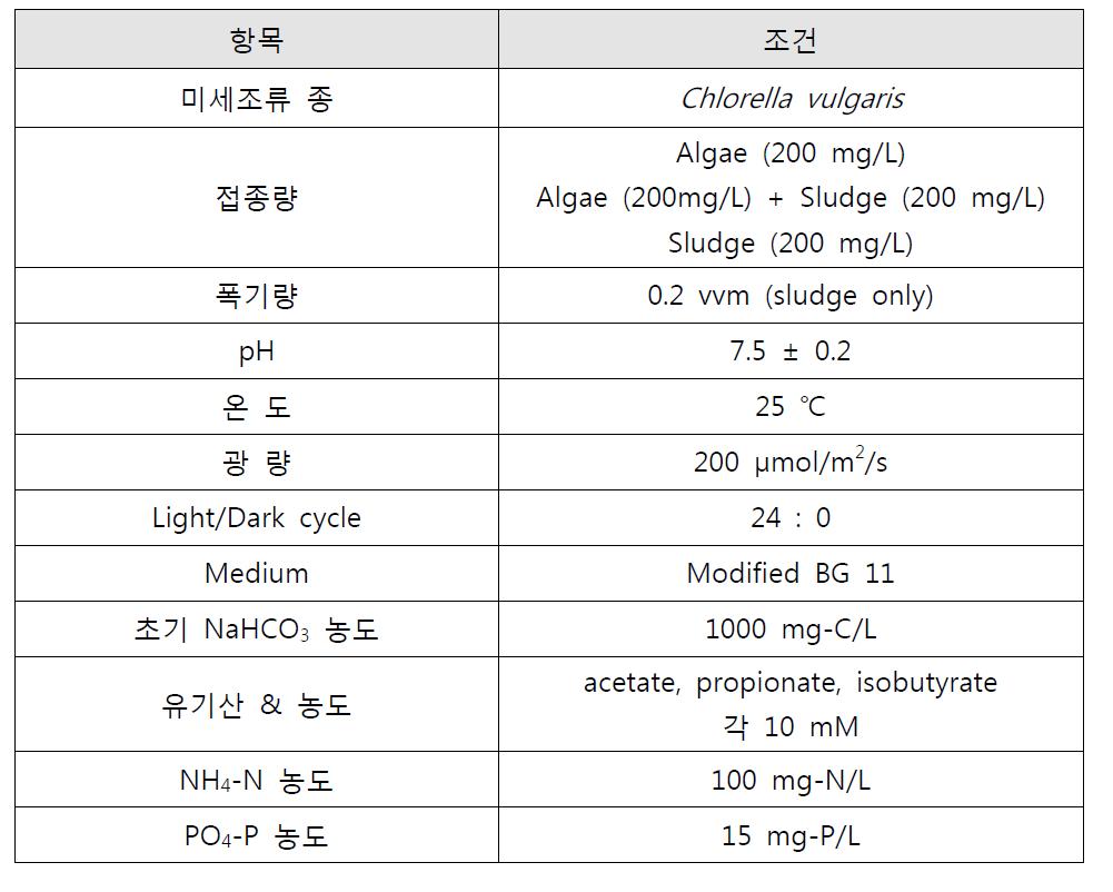 Bacteria Co-culture 시너지 효과 규명하기 위한 운전조건