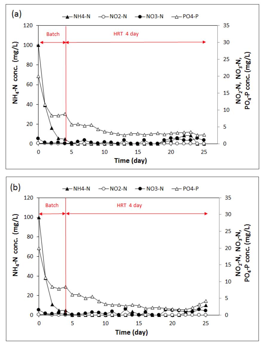 Semi-continuous mode (a) 및 continuous mode (b)의 유출수 내 질소 및 인 농도의 변화