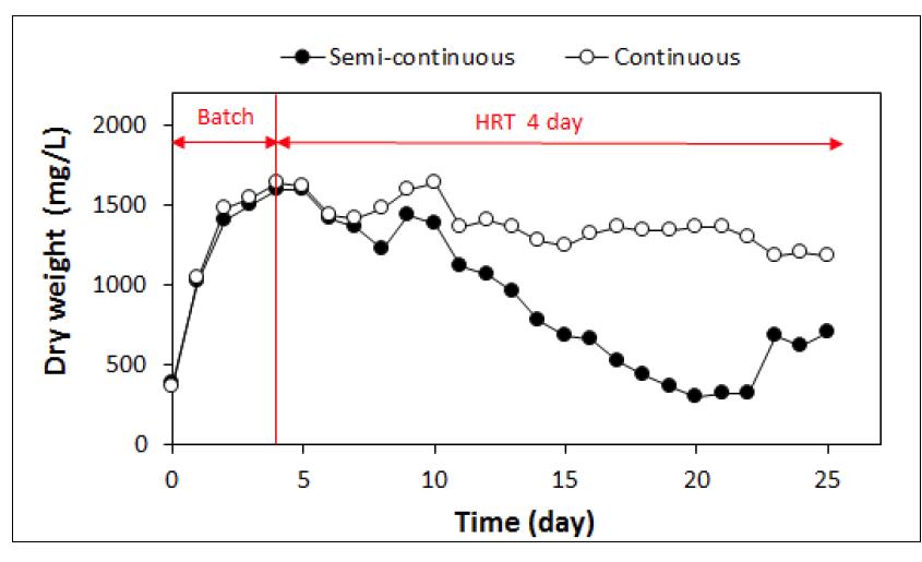 Semi-continuous mode 및 Continuous mode 반응조 내 dry weight 변화