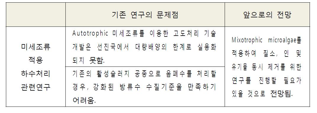 기존 연구의 문제점과 앞으로의 전망