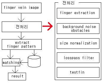 정맥 영상의 처리 및 인식과정