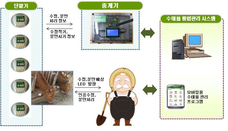 개발 시스템 구성도