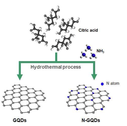 관능화 나노 그래핀(N-GQDs) 제조 공정 흐름도