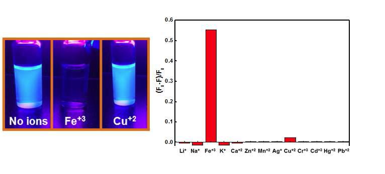 관능화 나노 그래핀을 이용한 Fe3+ 이온 검출 평가