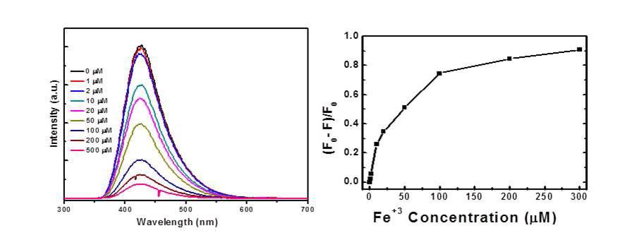 Fe3+ 이온 농도별 관능화 나노 그래핀의 성능 평가