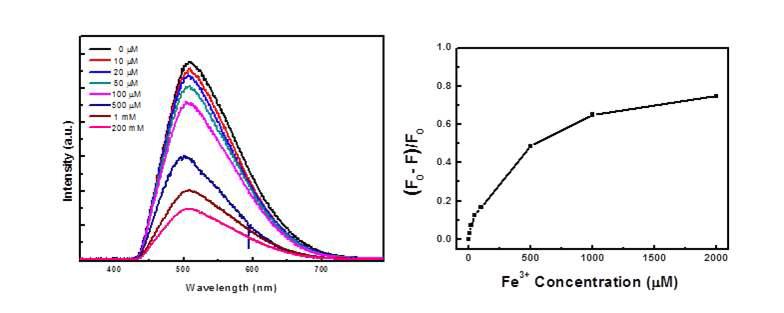 Fe3+ 이온 농도별 비관능화 나노 그래핀의 성능 평가