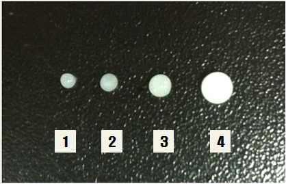 Photograph of different sizes of alginate beads.