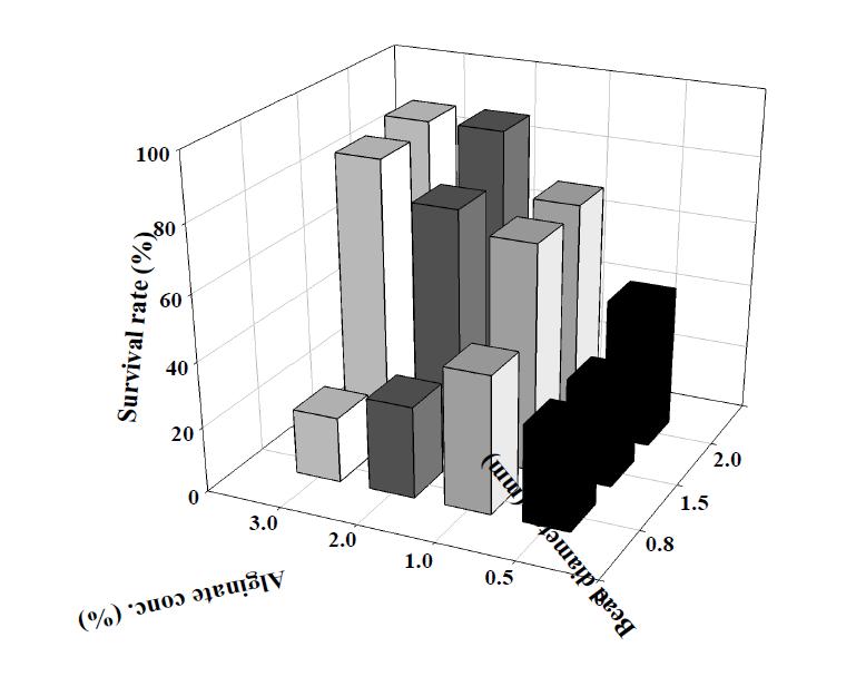 Survival rate of Pediococcus pentosaceus after freeze drying process, depending on bead diameter and alginate concentration