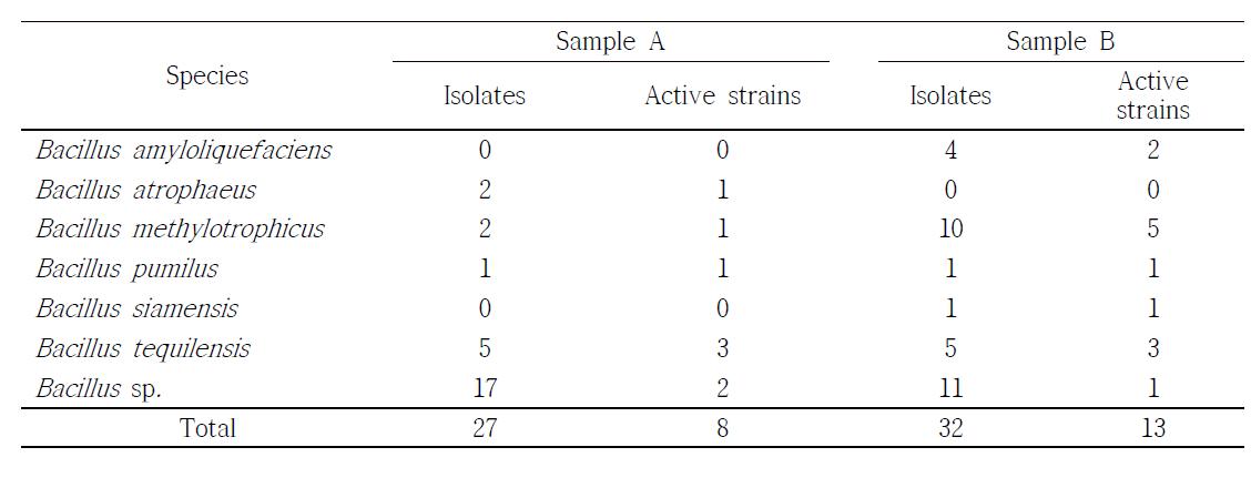 Numbers of isolates from Ojingeo-jeotgal showed the growth inhibition of Vibrio parahaemolyticus ATCC17802 on marine agar added 3% NaCl.