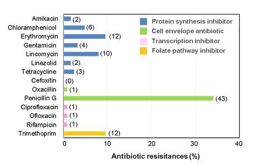 Antibiotic resistance of the ampicillin-sensitive 126 S. equorum strains from jeotgal. The numbers in parentheses represent the numbers of resistant strains among the tested strains.