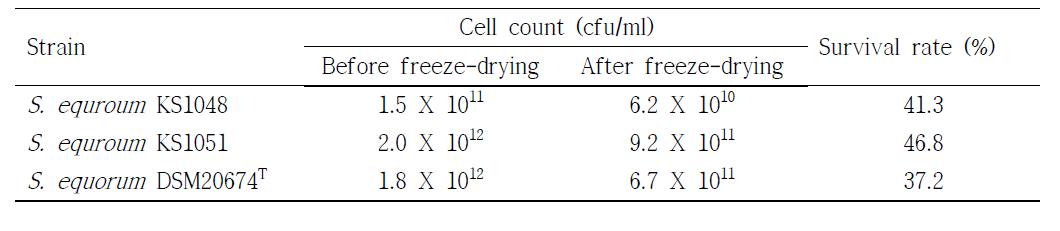 Survival of Staphylococcus equorum strains after freeze-drying.