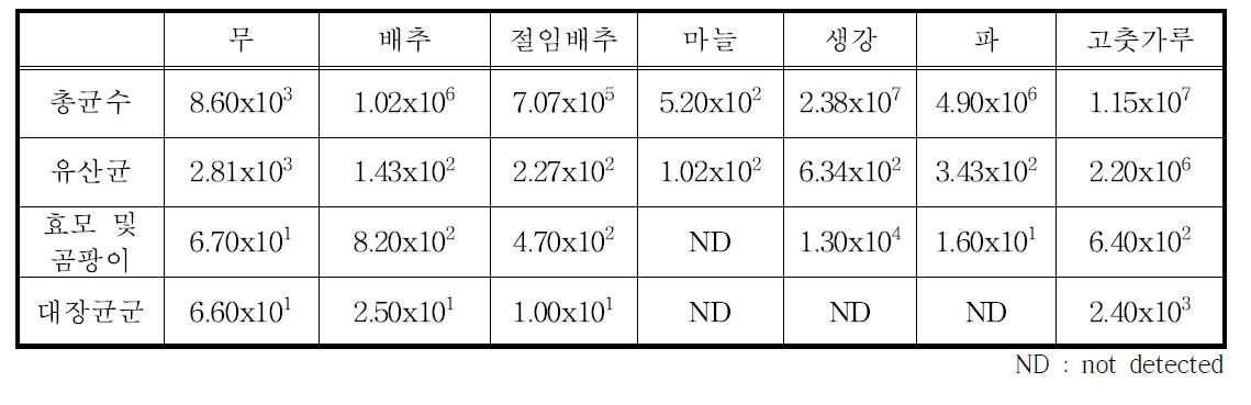 겨울철 초기균수 결과