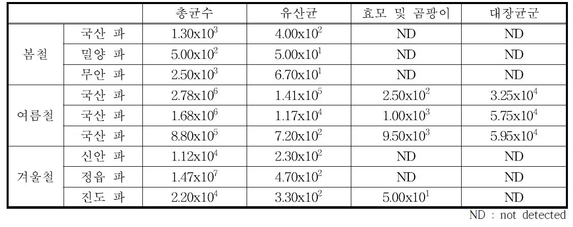 계절별 파 초기균수 결과