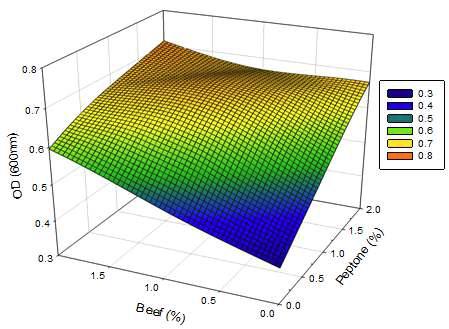 Peptone and beef extract의 농도별 Leuconostoc mesenteroides의 OD(600nm)에서의 3D_표면반응분석.