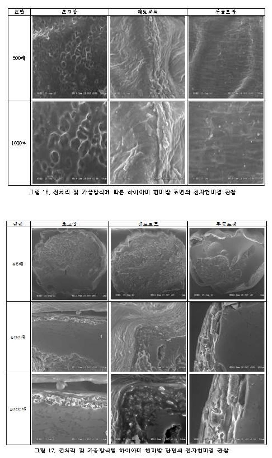 전처리 및 가공방식에 따른 하이아미 현미밥 표면의 전자현미경 관찰