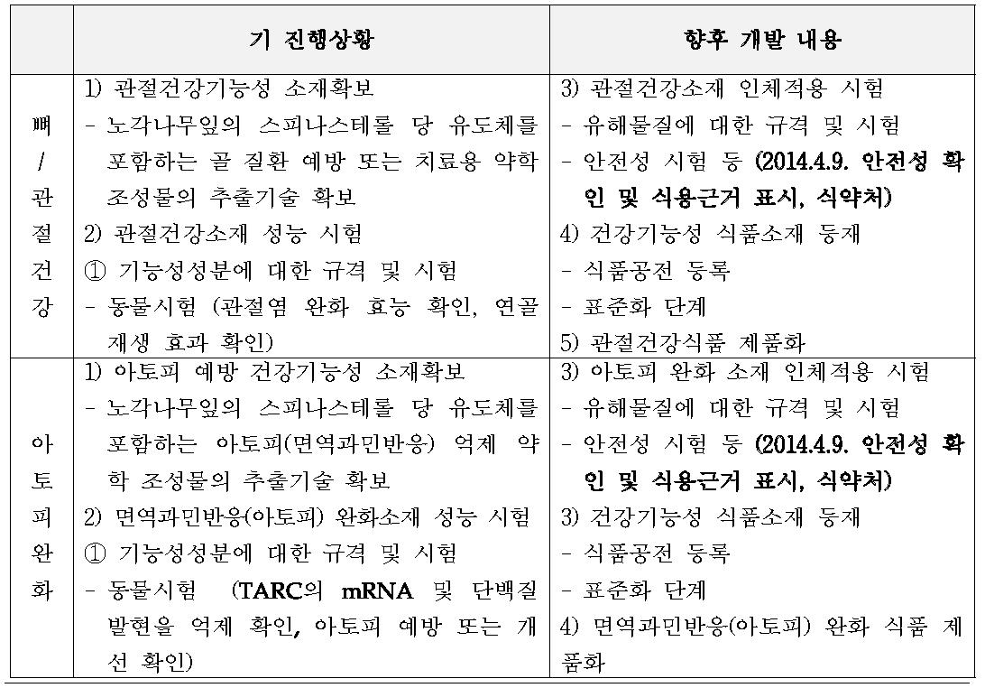 현 기술의 진행 상황과 향후 개발 내용