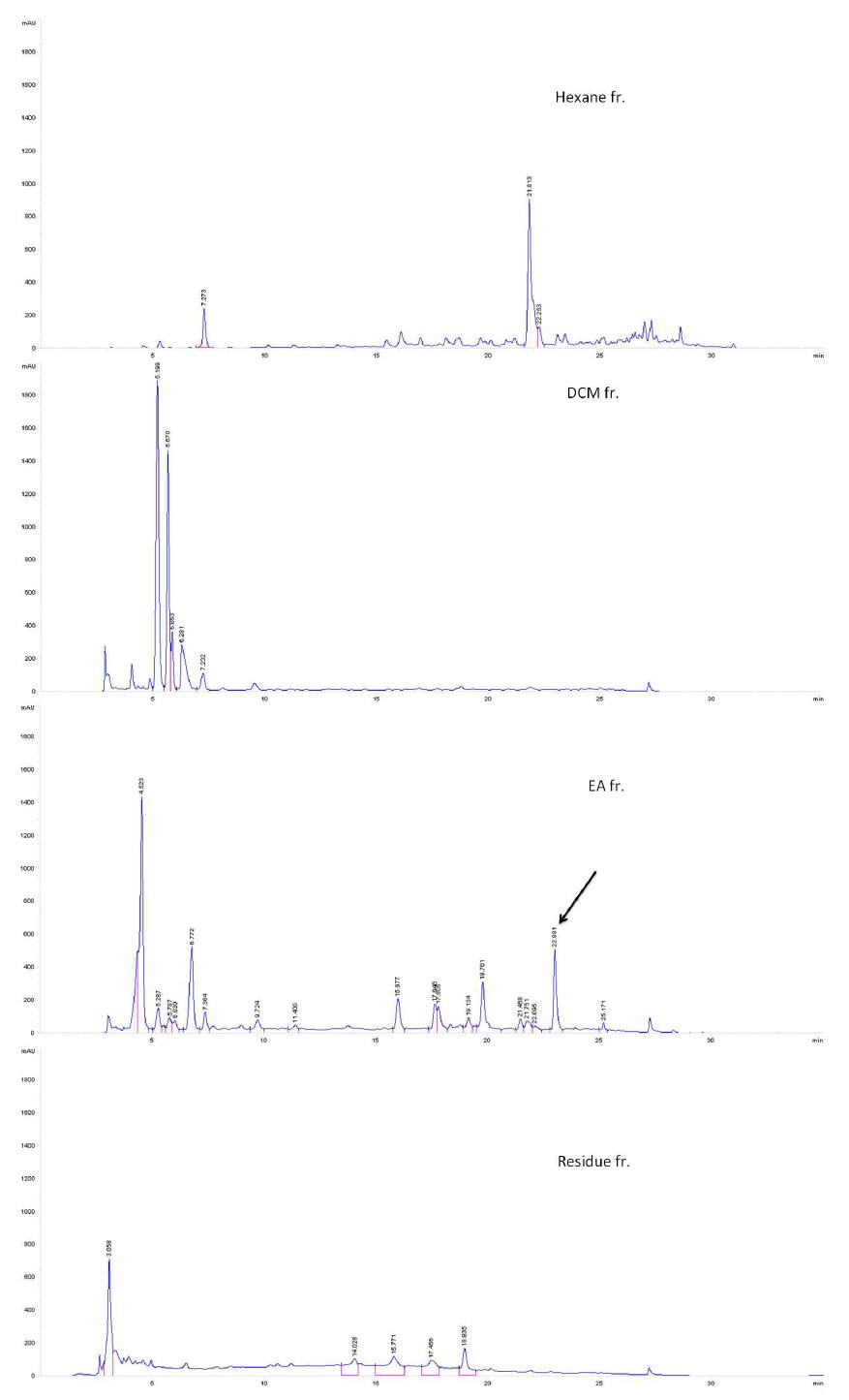 노각나무 잎 열수추출물 분획물 HPLC 분석