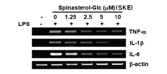 LPS로 유도된 TNF-α, IL-1β, IL-6의 저해효과